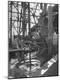 Photographic Print