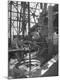 Photographic Print
