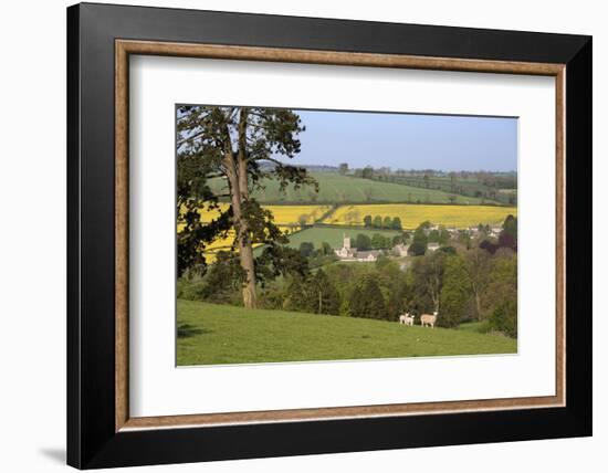 Oilseed Rape Fields and Sheep Above Cotswold Village, Guiting Power, Cotswolds-Stuart Black-Framed Photographic Print