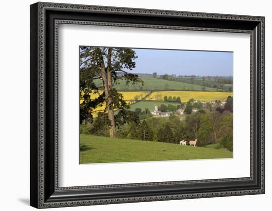 Oilseed Rape Fields and Sheep Above Cotswold Village, Guiting Power, Cotswolds-Stuart Black-Framed Photographic Print