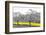 Oilseed Rape Fields-Rainer Maria-Framed Photographic Print