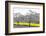 Oilseed Rape Fields-Rainer Maria-Framed Photographic Print