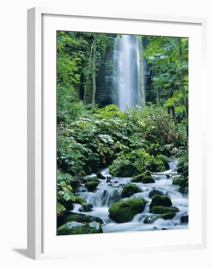 Oirase Valley Waterfall, Fed by Lake Towada-Ko, Aomori, Northern Japan-Christian Kober-Framed Photographic Print