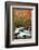 Oirase-NicholasHan-Framed Photographic Print