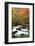 Oirase-NicholasHan-Framed Photographic Print