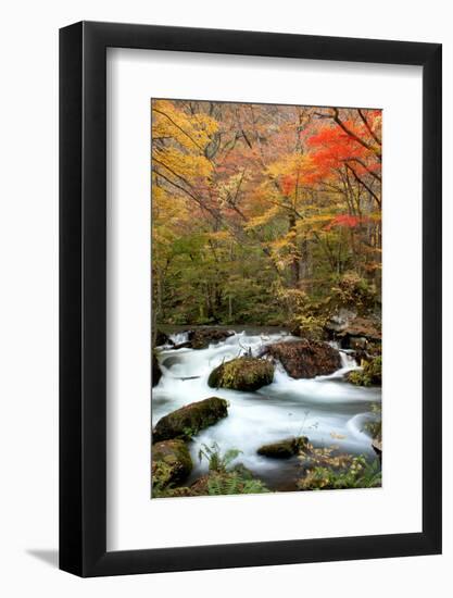 Oirase-NicholasHan-Framed Photographic Print