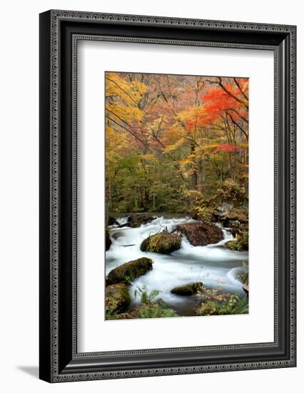 Oirase-NicholasHan-Framed Photographic Print