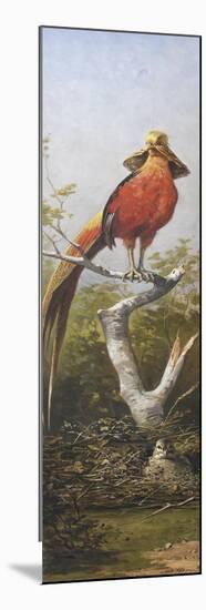 Oiseau exotique rouge-Adolphe Yvon-Mounted Giclee Print