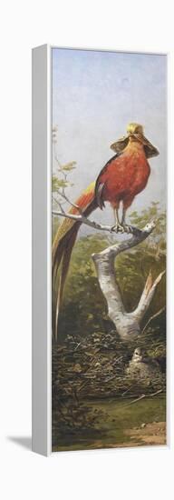 Oiseau exotique rouge-Adolphe Yvon-Framed Premier Image Canvas