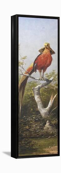 Oiseau exotique rouge-Adolphe Yvon-Framed Premier Image Canvas