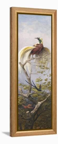 Oiseau-Adolphe Yvon-Framed Premier Image Canvas