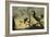 Oiseaux sur des branches-Frans Snyders-Framed Giclee Print