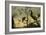 Oiseaux sur des branches-Frans Snyders-Framed Giclee Print