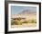 Okahirongo Lodge, Purros Conservancy Wilderness, Kaokoland, Namibia, Africa-Kim Walker-Framed Photographic Print