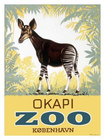 nummer Midlertidig femte Okapi Copenhagen Zoo' Giclee Print | Art.com