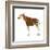 Okapi (Okapi Johnstoni), Mammals-Encyclopaedia Britannica-Framed Art Print