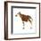 Okapi (Okapi Johnstoni), Mammals-Encyclopaedia Britannica-Framed Art Print