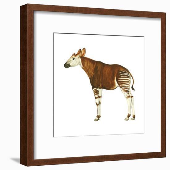 Okapi (Okapi Johnstoni), Mammals-Encyclopaedia Britannica-Framed Art Print