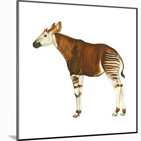 Okapi (Okapi Johnstoni), Mammals-Encyclopaedia Britannica-Mounted Art Print