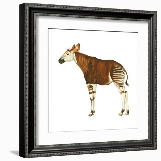 Okapi (Okapi Johnstoni), Mammals-Encyclopaedia Britannica-Framed Art Print