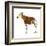 Okapi (Okapi Johnstoni), Mammals-Encyclopaedia Britannica-Framed Art Print