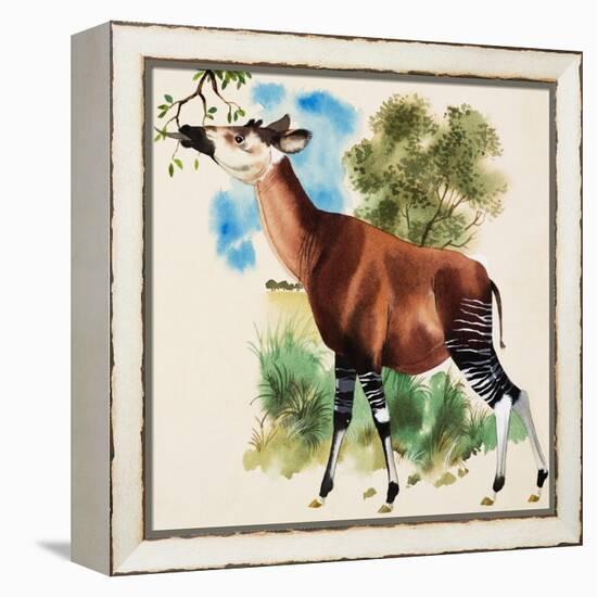 Okapi-Arthur Oxenham-Framed Premier Image Canvas