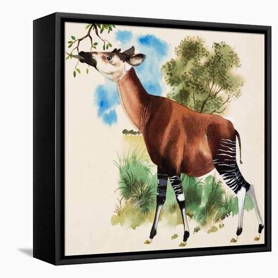 Okapi-Arthur Oxenham-Framed Premier Image Canvas