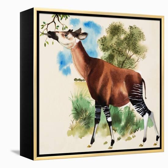 Okapi-Arthur Oxenham-Framed Premier Image Canvas