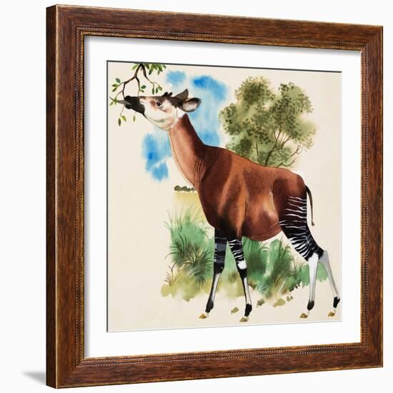 Okapi-Arthur Oxenham-Framed Giclee Print