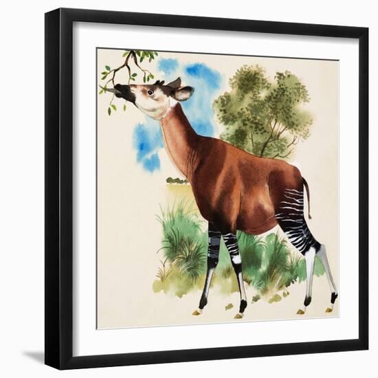 Okapi-Arthur Oxenham-Framed Giclee Print