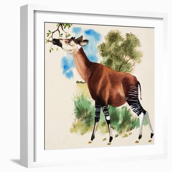 Okapi-Arthur Oxenham-Framed Giclee Print