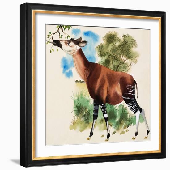 Okapi-Arthur Oxenham-Framed Giclee Print