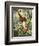 Okapis of the Congo-null-Framed Giclee Print