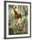 Okapis of the Congo-null-Framed Giclee Print