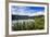 Okarito Lagoon-Michael Runkel-Framed Photographic Print