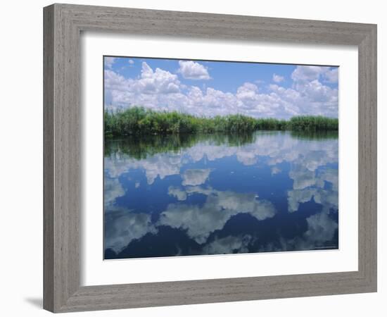 Okavango Delta, Botswana, Africa-Jenny Pate-Framed Photographic Print