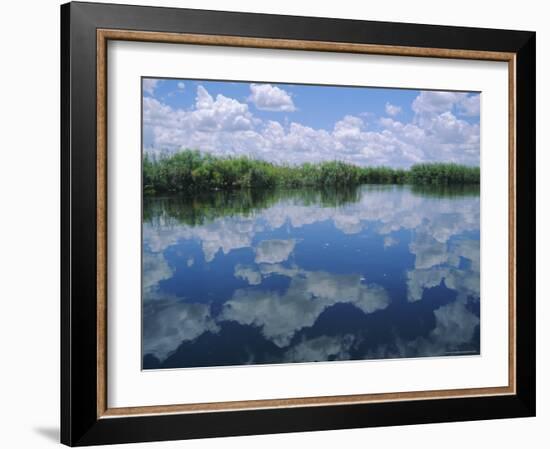 Okavango Delta, Botswana, Africa-Jenny Pate-Framed Photographic Print