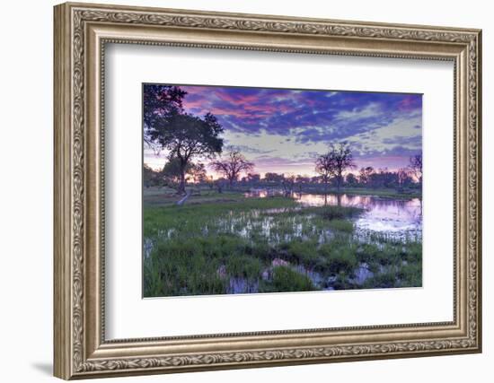 Okavango Delta, Botswana, Africa-Angelo Cavalli-Framed Photographic Print