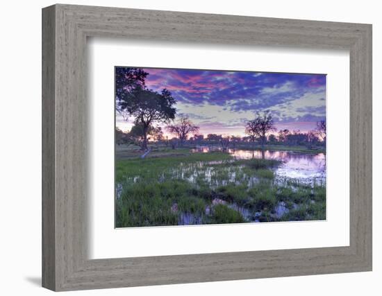 Okavango Delta, Botswana, Africa-Angelo Cavalli-Framed Photographic Print