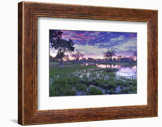 Okavango Delta, Botswana, Africa-Angelo Cavalli-Framed Photographic Print