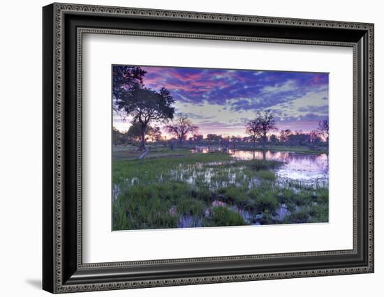 Okavango Delta, Botswana, Africa-Angelo Cavalli-Framed Photographic Print