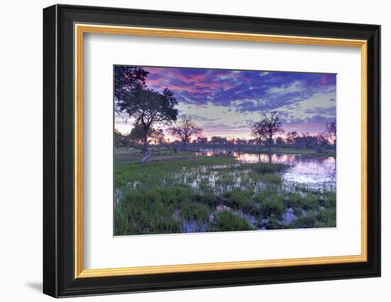 Okavango Delta, Botswana, Africa-Angelo Cavalli-Framed Photographic Print