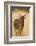 Okavango Delta, Botswana. Close-up of Common Tsessebe-Janet Muir-Framed Photographic Print