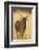 Okavango Delta, Botswana. Close-up of Common Tsessebe-Janet Muir-Framed Photographic Print