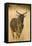 Okavango Delta, Botswana. Close-up of Common Tsessebe-Janet Muir-Framed Premier Image Canvas