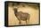 Okavango Delta, Botswana. Close-up of Common Tsessebe-Janet Muir-Framed Premier Image Canvas