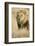 Okavango Delta, Botswana. Close-up of Male Lion-Janet Muir-Framed Photographic Print