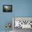 Okefenokee Swamp-James Randklev-Framed Premier Image Canvas displayed on a wall