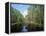 Okefenokee Swamp-James Randklev-Framed Premier Image Canvas