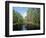 Okefenokee Swamp-James Randklev-Framed Photographic Print